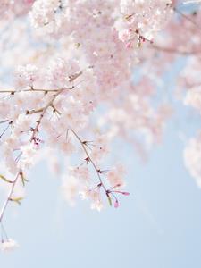 人设oc，脑洞合集